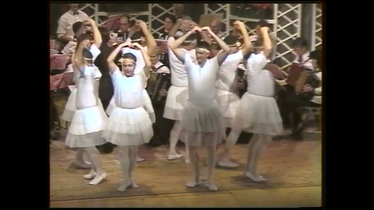 Handharmonika Club Biberist Konzert 1996  Orchester   