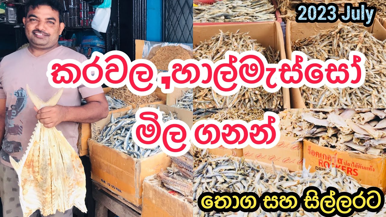 කරවල ,හාල්මැස්සෝ සිල්ලර සහ තොග මිලට | dried fish,sprats Shops @HarshanakalumVlogs