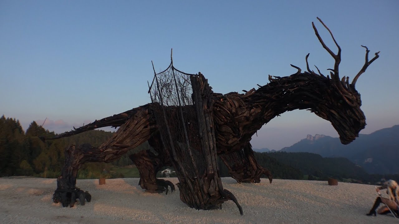 Drago Vaia Regeneration - Trentino