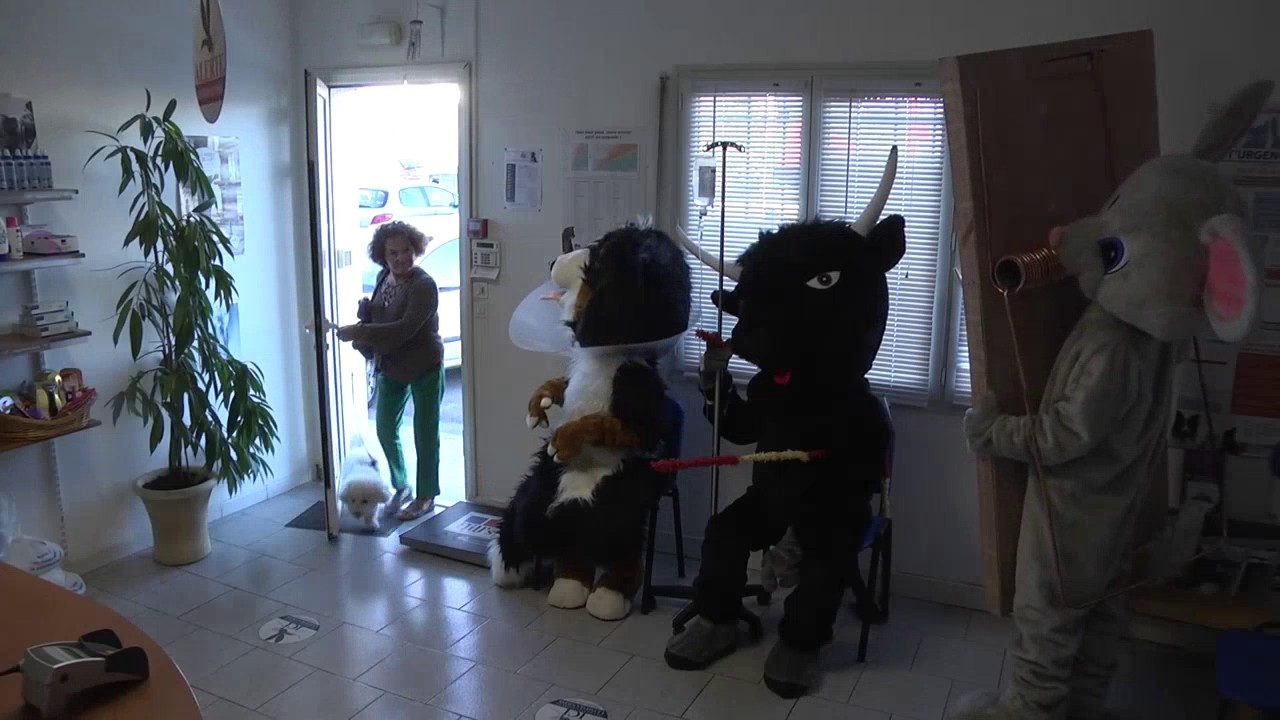 Veterinary Office -What veterinarians want as clientele