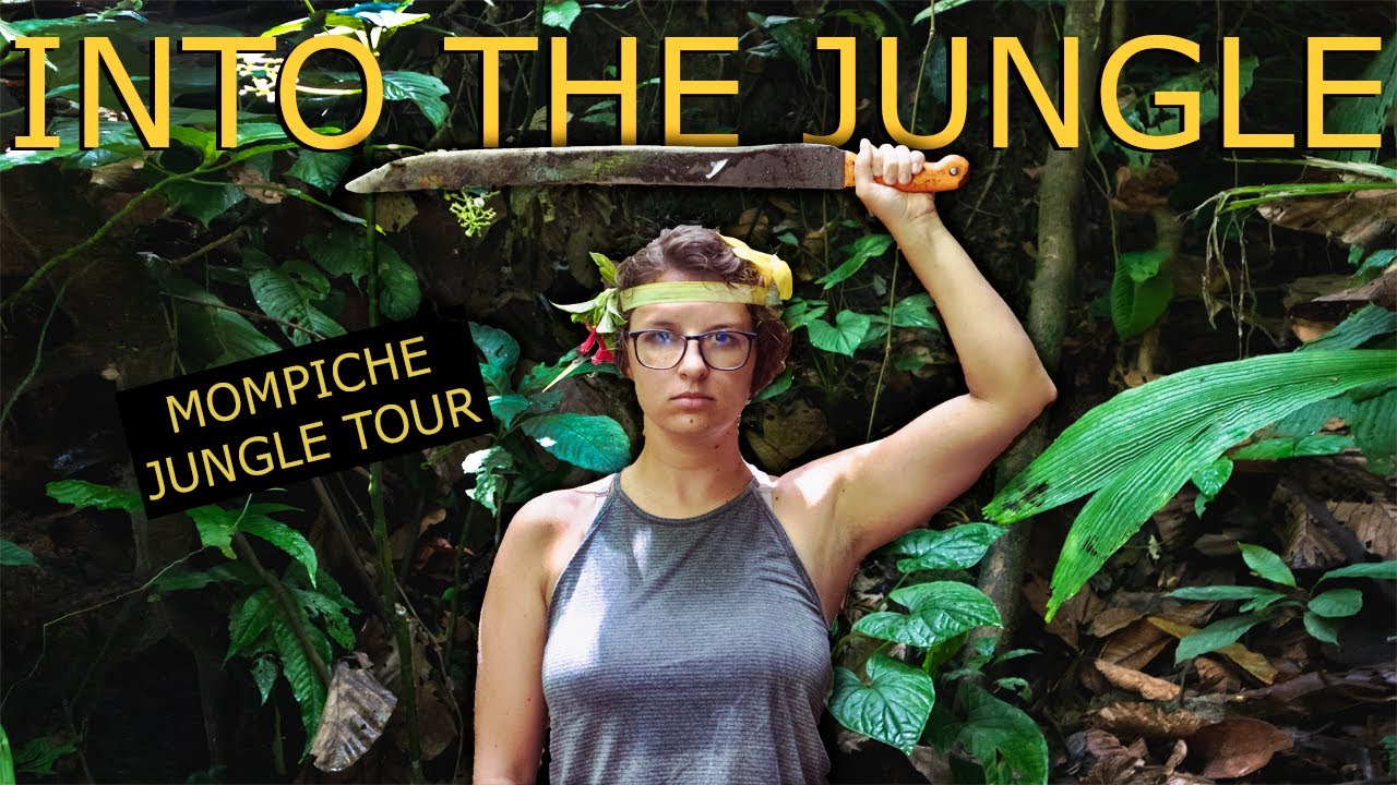 ECUADOR JUNGLE TOUR | Coastal Rainforest adventure | Mompiche, Ecuador