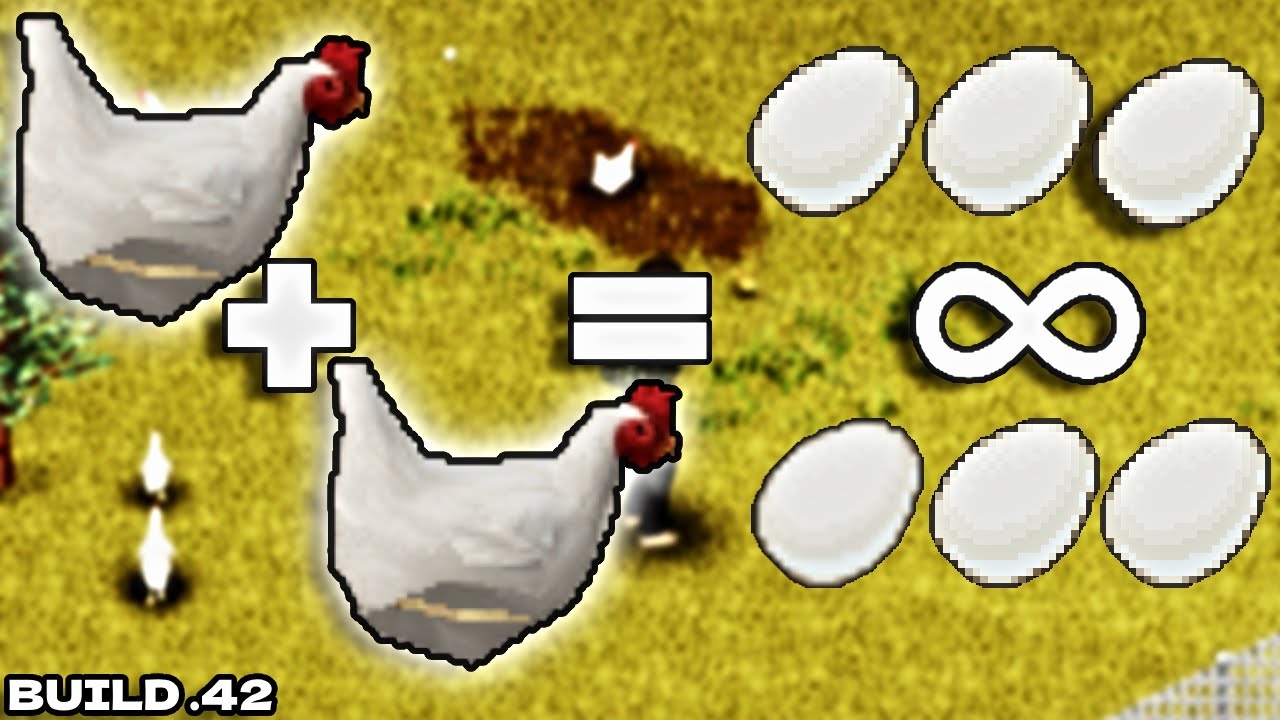 My Humble Secrets for Dominating Project Zomboid's New Livestock System!