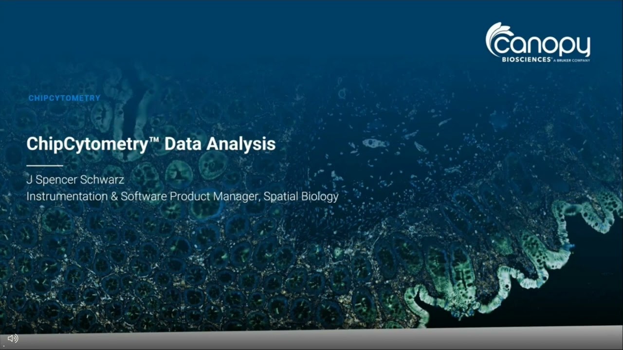 Analyzing Highly Multiplexed and Multi-Modal Spatial-Omics ChipCytometry&trade; Datasets