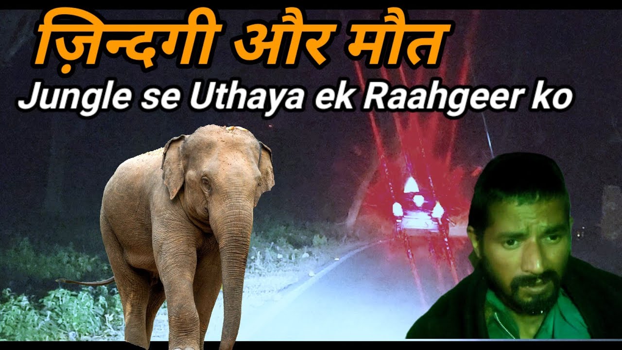 मौत के मुह से बचाई ज़िन्दगी Tiger Elephant ke Aeriya se jimcorbett