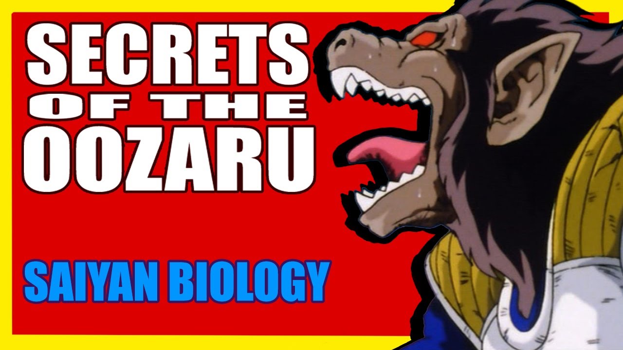 Oozaru explaned | DBZ saiyan biology