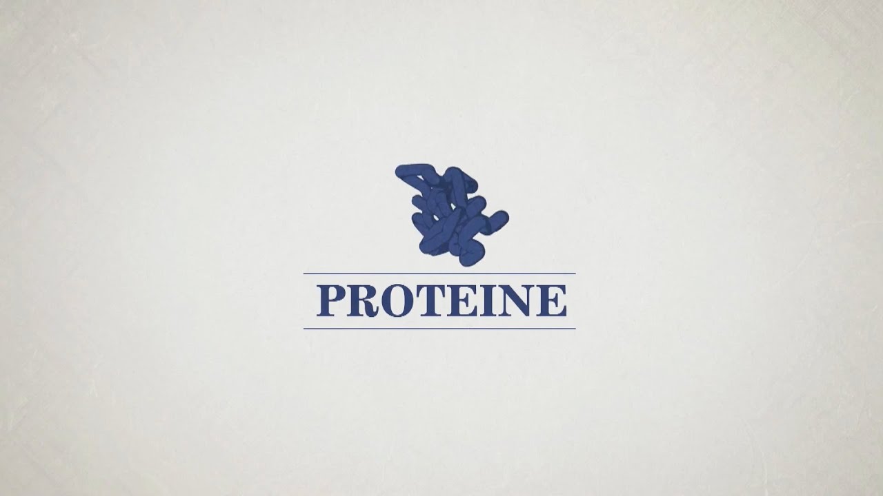 Struktur und Aufbau von Proteinen