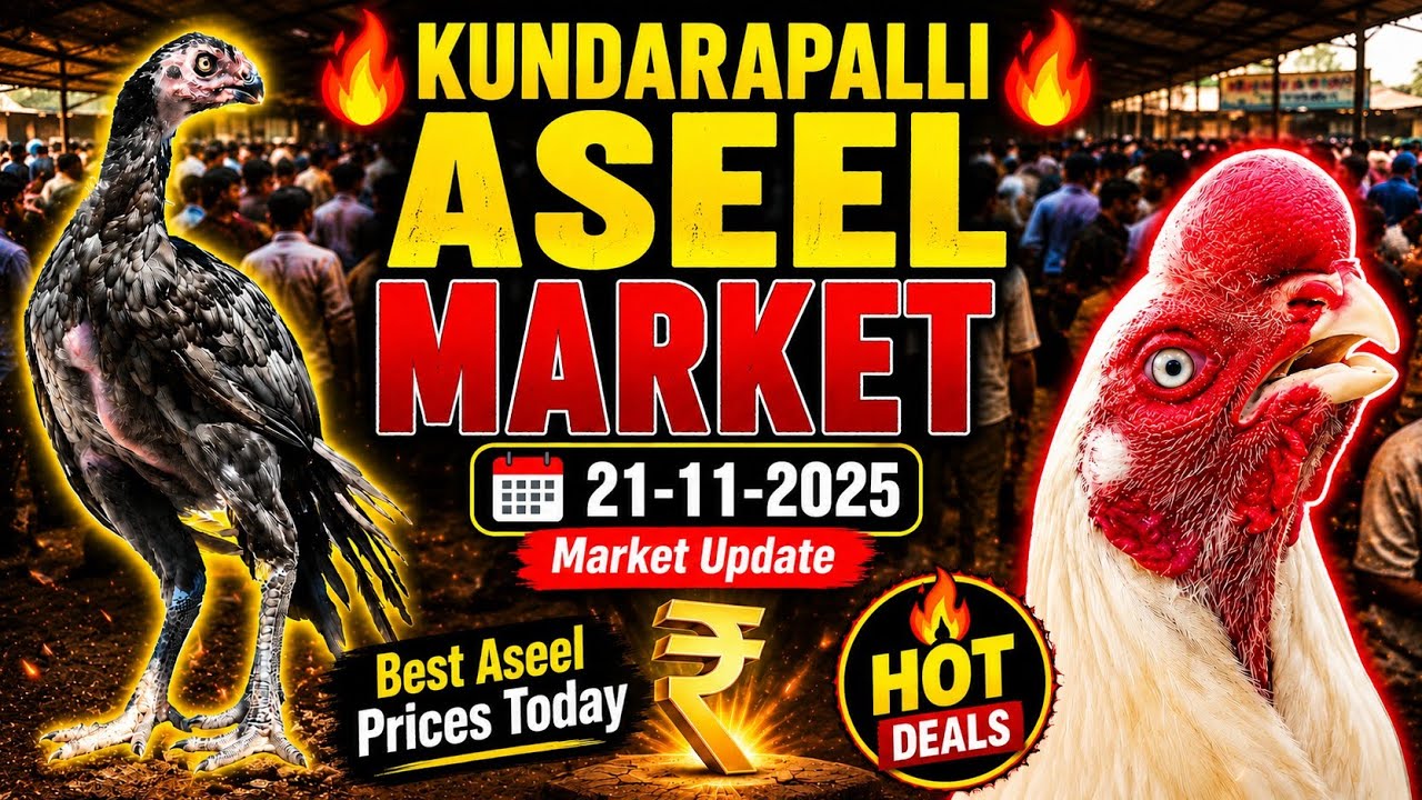 FRIDAY Aseel Market Kundarapalli Krishnagiri District🐓🐔
