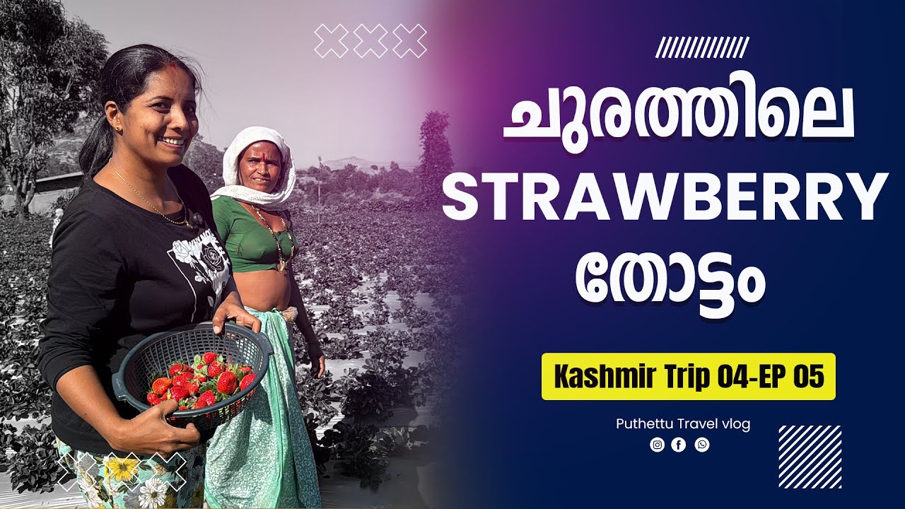 Surprise cake cutting and Strawberry Plantation   | Kashmir Trip 04 | EP -  05 |  Jelaja Ratheesh |