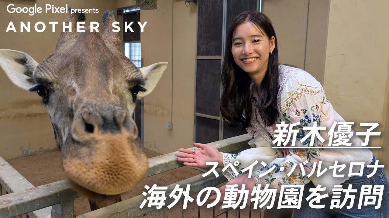 【地上波未公開】新木優子が海外の動物園を訪問 IN スペイン・バルセロナ