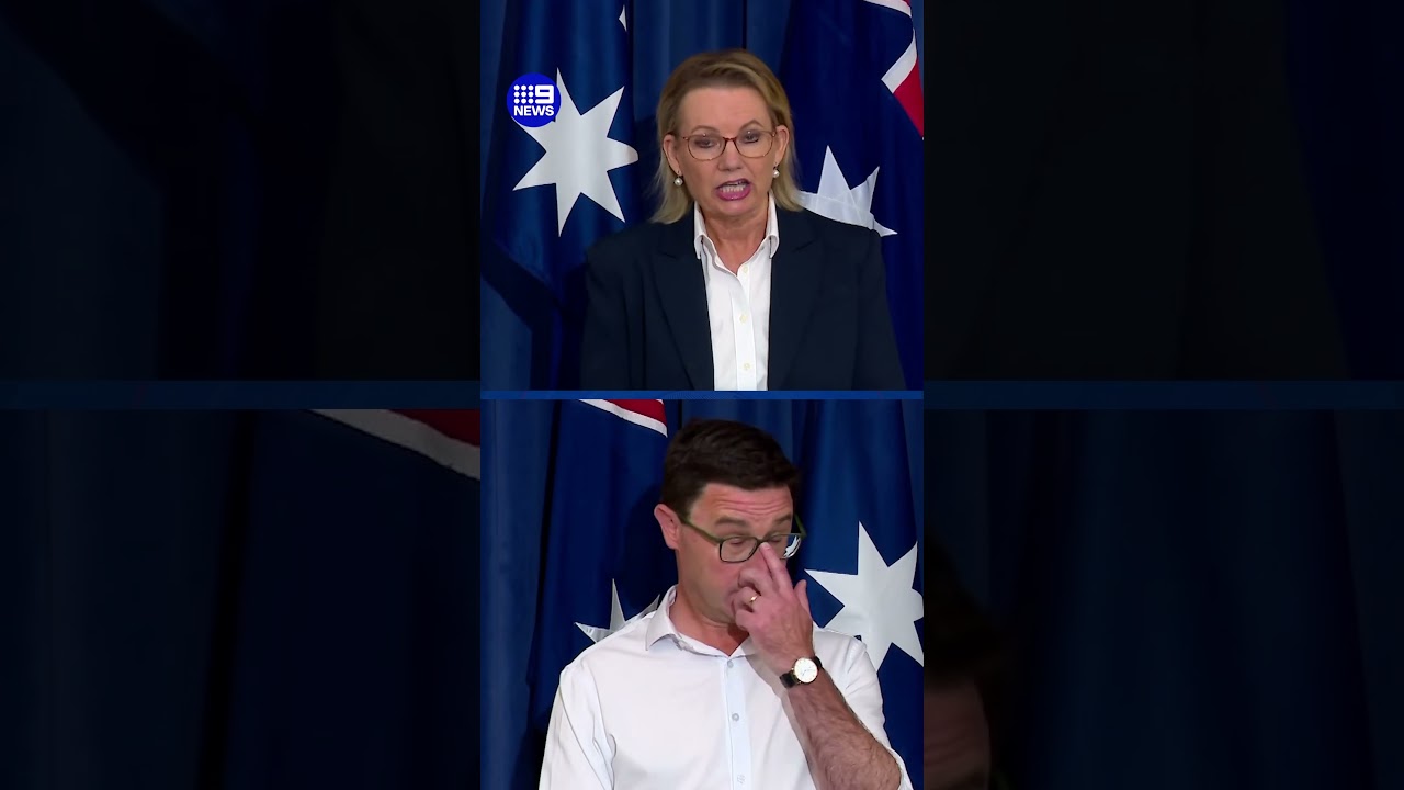 Coalition confirms reunion | 9 News Australia