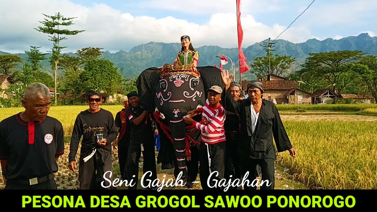 Pesona Budaya Desa Grogol Sawoo acara Hiburan Seni Gajah Gajahan Gayeng Tenan
