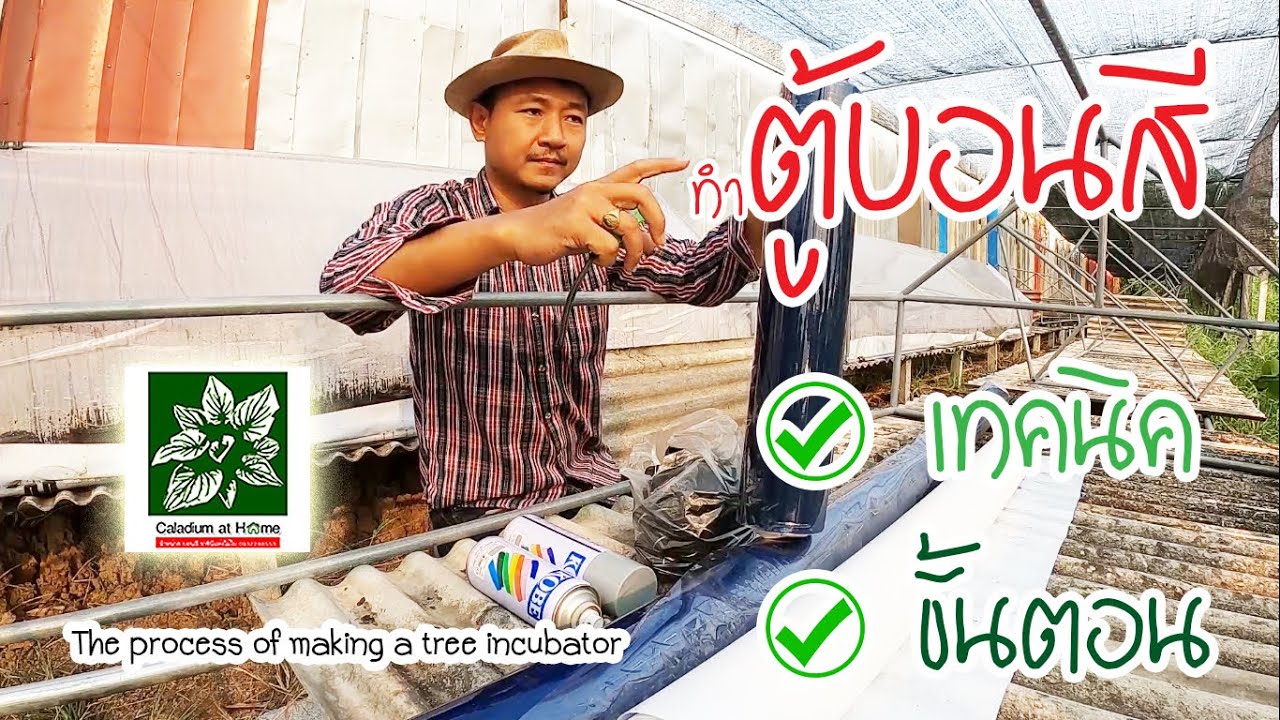 วิธีทำตู้อบบอนสี เทคนิค ขั้นตอนการทำครบถ้วน เพื่อนๆสามารถทำตามได้