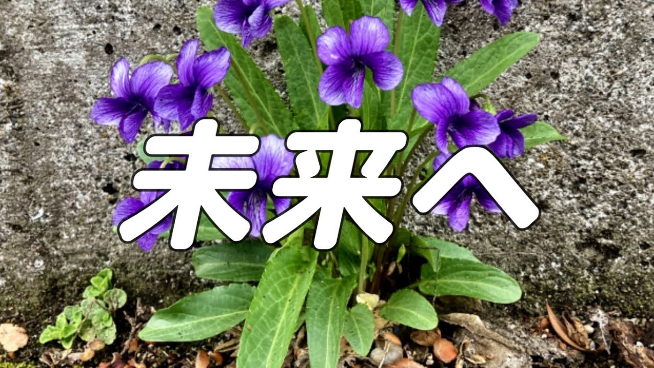 【合唱曲】未来へ / 混声三部合唱【歌詞付き】