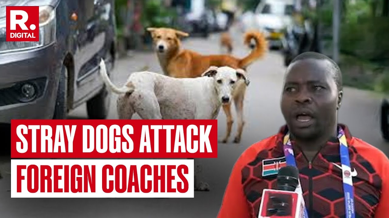 Delhi Horror: Two Foreign Coaches Bitten By Stray Dogs During World Para Athletics Championships