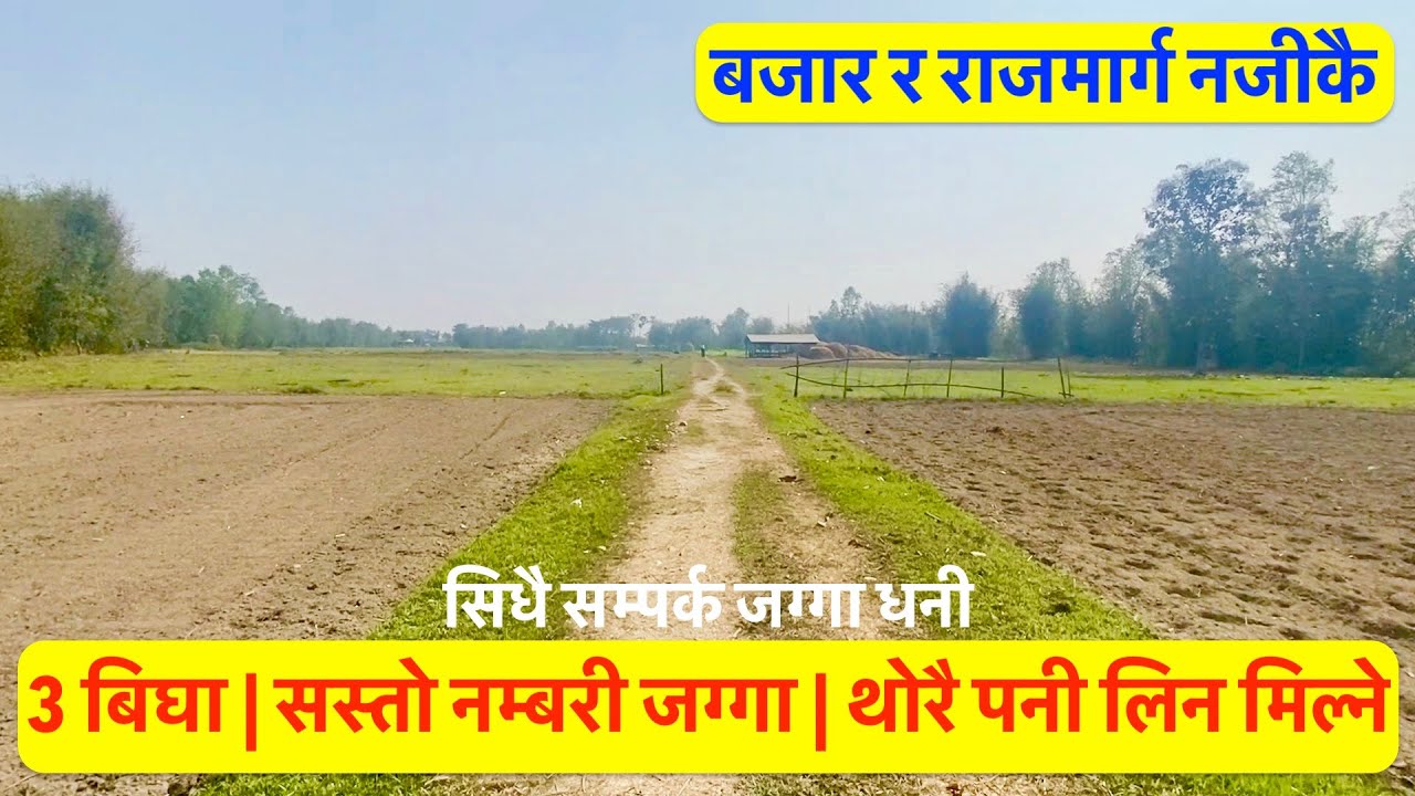 3 Bigga| सस्तो नम्बरी जग्गा बिक्रिमा Sasto| Cheap| Land For Sale| hamrobazar   #realestatenepal
