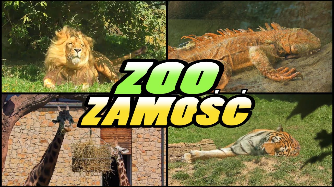 ZOO Zamość - Ogród Zoologiczny im. Stefana Milera - Zamość Poland (4k)