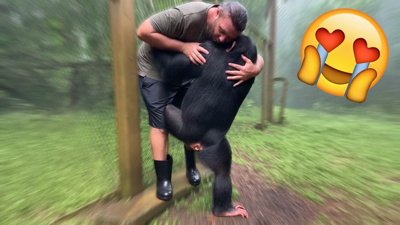 When Animals Feel Deeply… You Don’t Need Words to Understand
