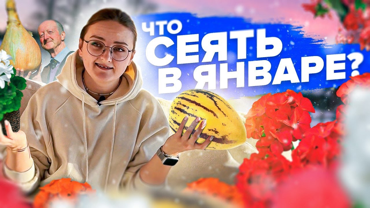 ПОРА! Что сеять в январе на рассаду?