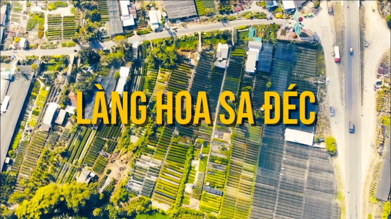 DỰ ÁN TUỔI TRẺ VÀ VĂN HOÁ LÀNG HOA SA ĐÉC| NHÓM 2 LỚP 12A5 TRƯỜNG THPT SA ĐÉC | NK25-26