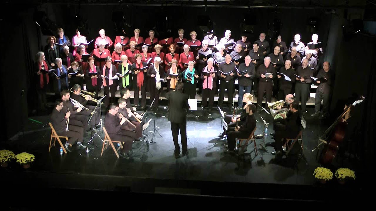 VIII Concert Les Fulles Seques