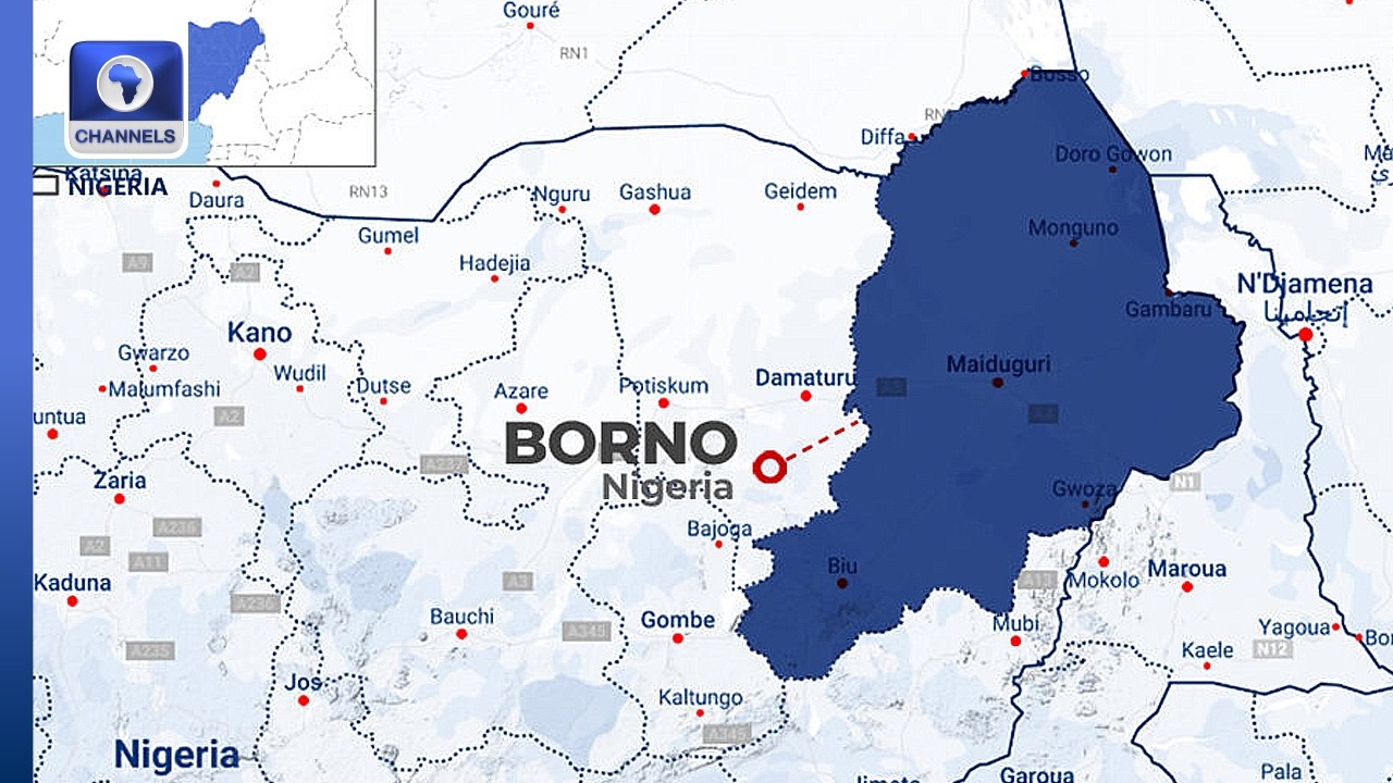 Boko Haram Overruns Ngoshe, Abduct Hundreds In Borno