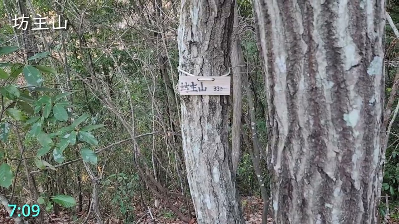 山梨県上野原　根本山から秋葉山