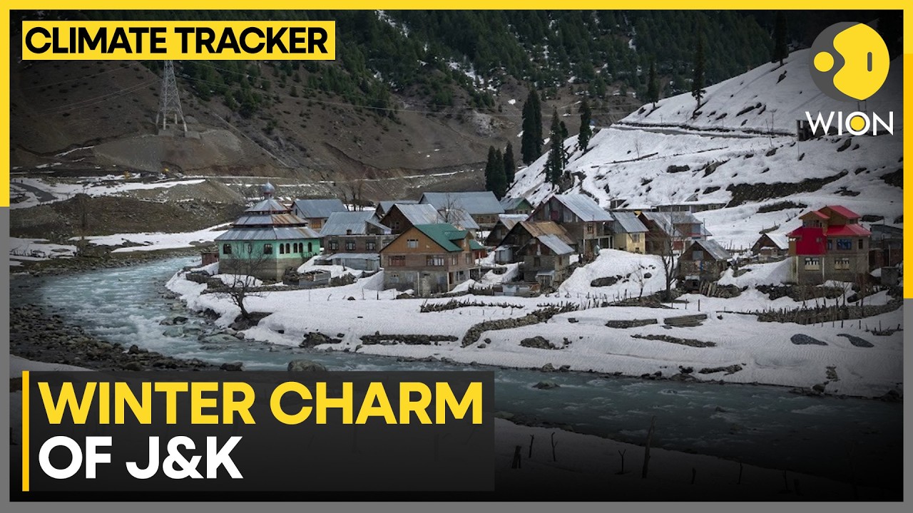 J&K Winters: Fresh Snowfall Transforms Jammu and Kashmir Into a Winter Wonderland | WION