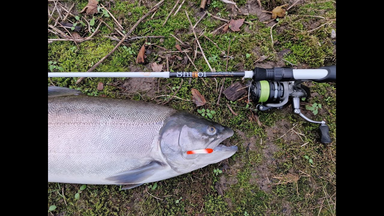 PR i den nye Sølv Ørred i Stenvad P&T
