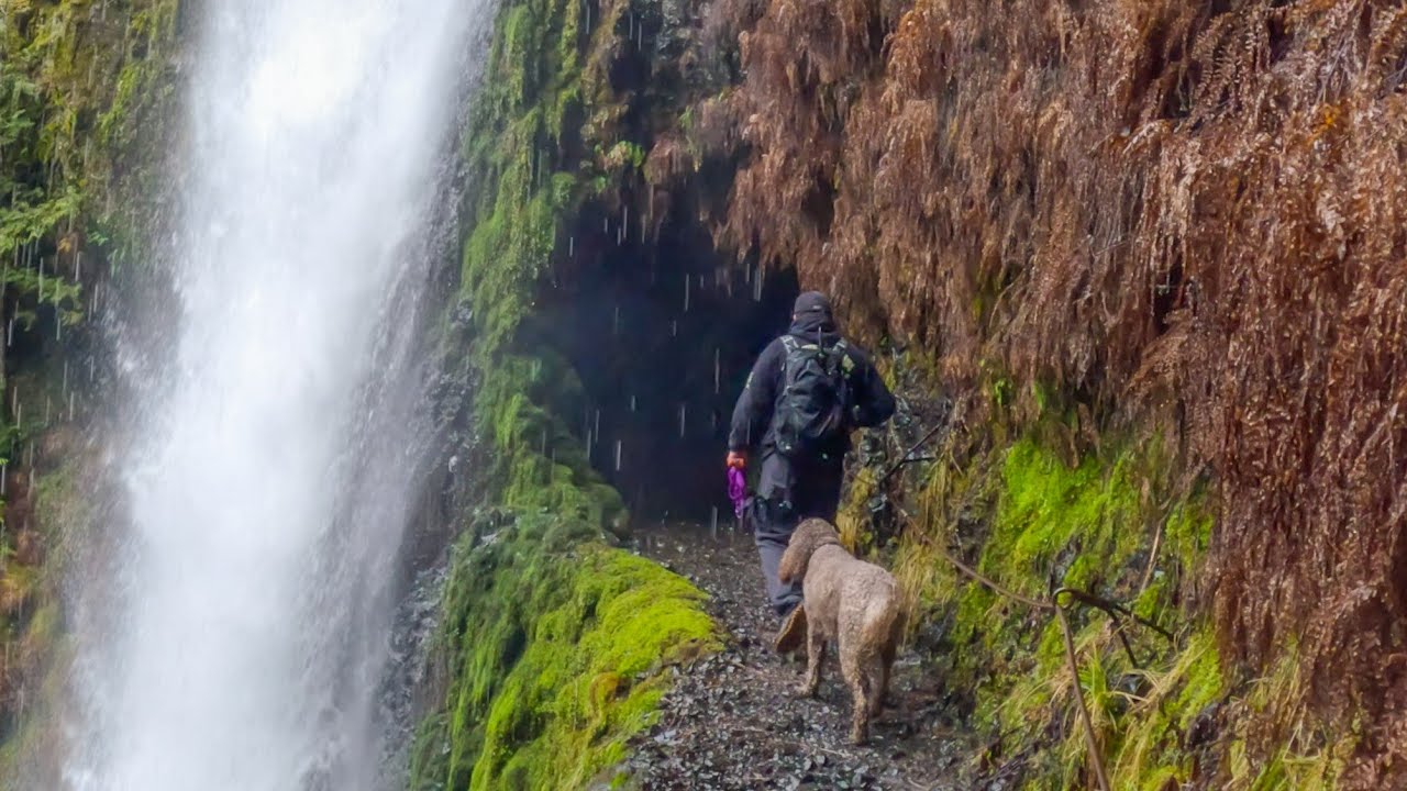 Hiking Tunnel & Twister Falls via Eagle Creek