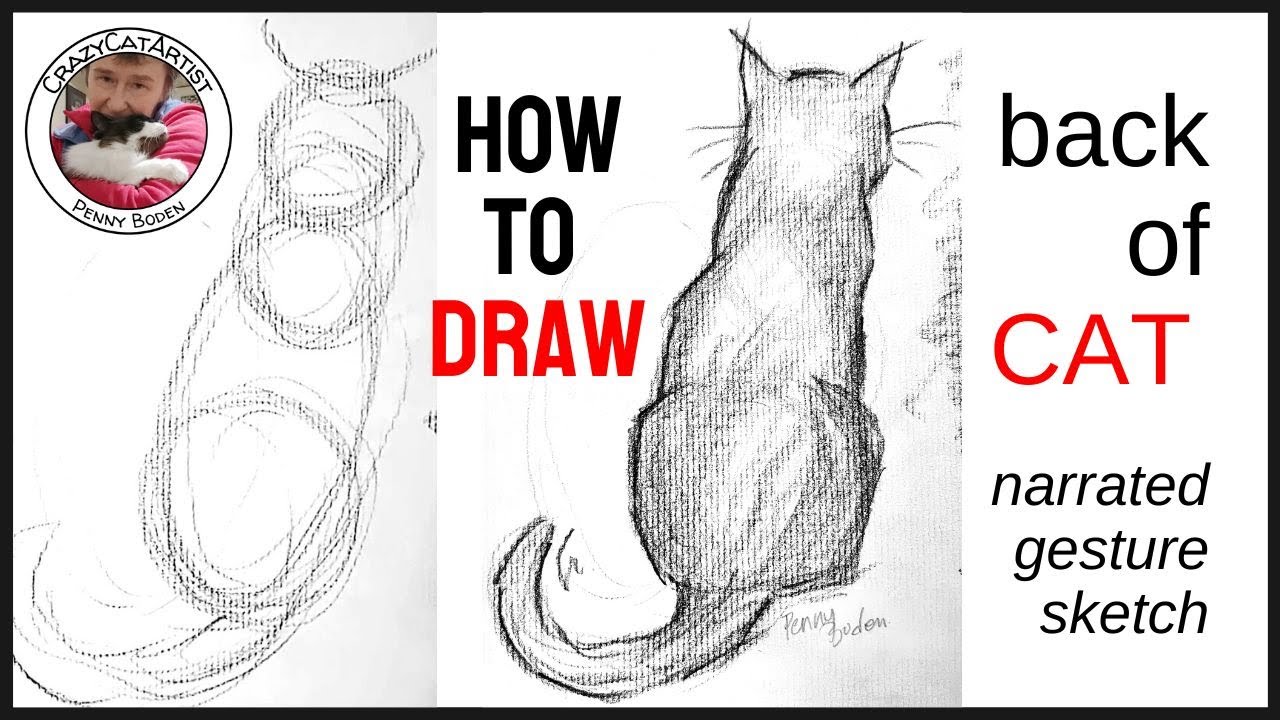How to Draw Cat Sitting Back View Silhouette | Black Domestic Shorthair