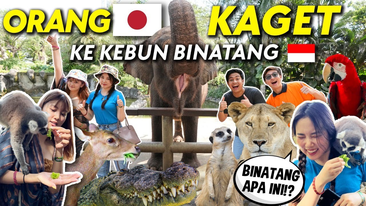 CEWEK JEPANG & KOREA KAGET LIHAT KEBUN BINATANG INDONESIA! (BALI ZOO) 😂