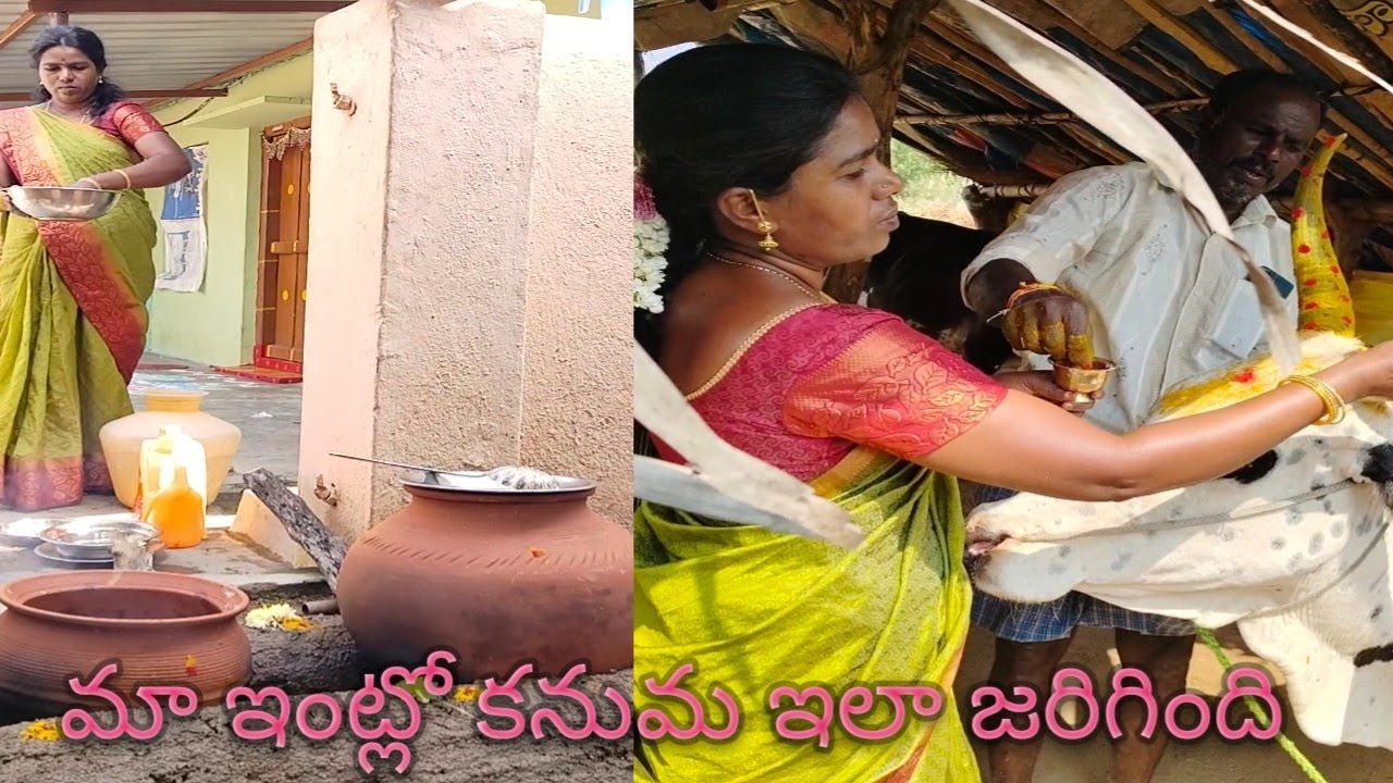 మా  ఇంట్లో కనుమ ఇలా జరిగింది  sankranti festival 