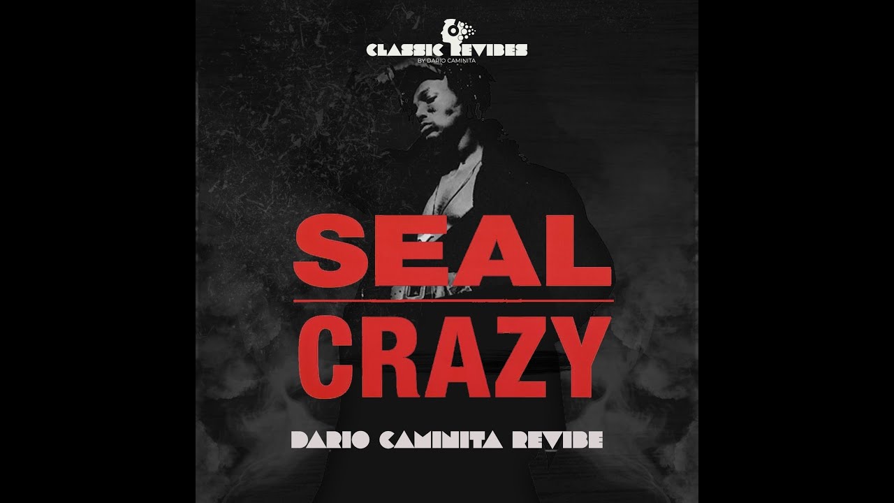 Seal - Crazy (Dario Caminita Revibe) 5'13