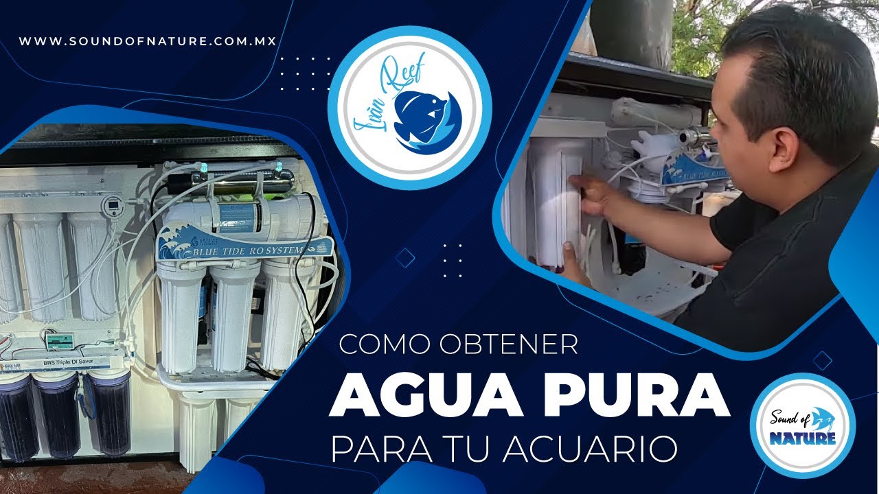 Como Obtener Agua pura para tu Acuario