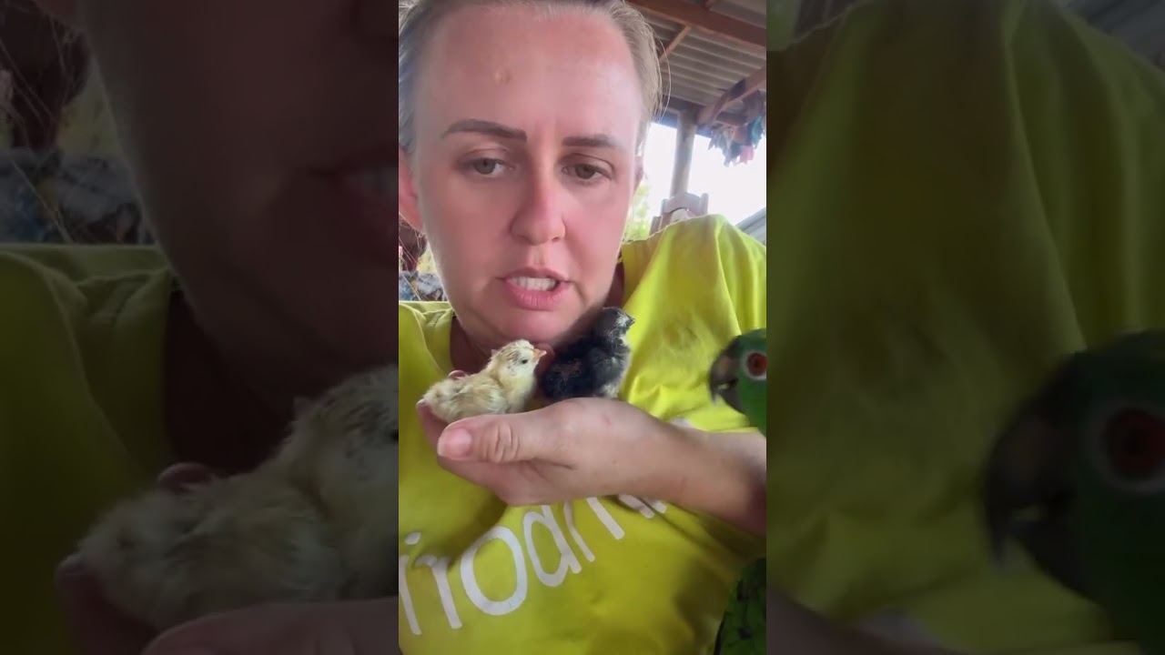 Bicudo com ci&uacute;mes