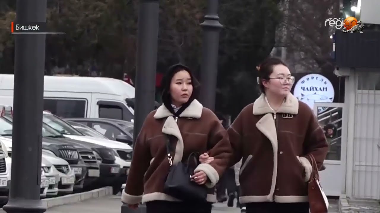 ТАШИЕВ. КҮТҮҮСҮЗ ЧЕЧИМ