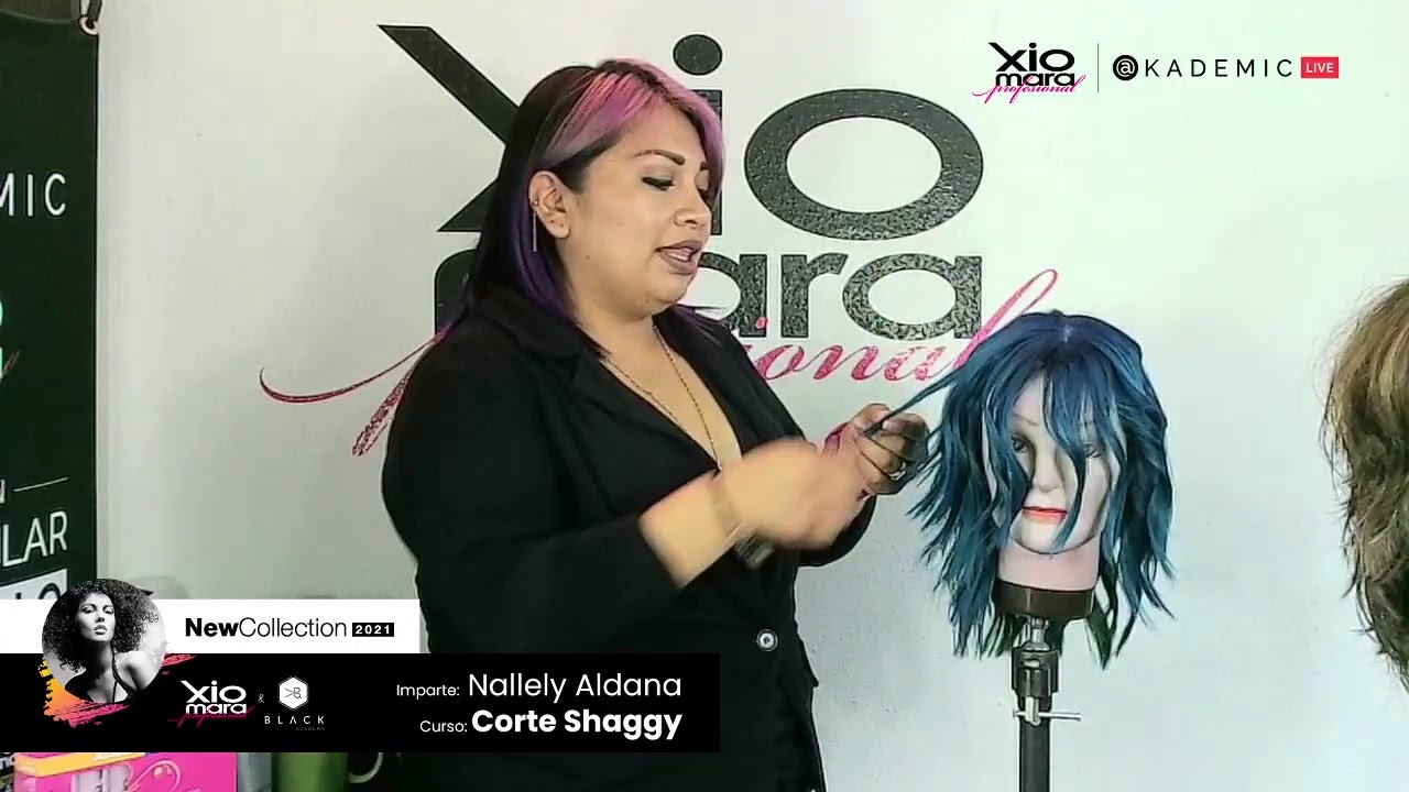 Corte Shaggy