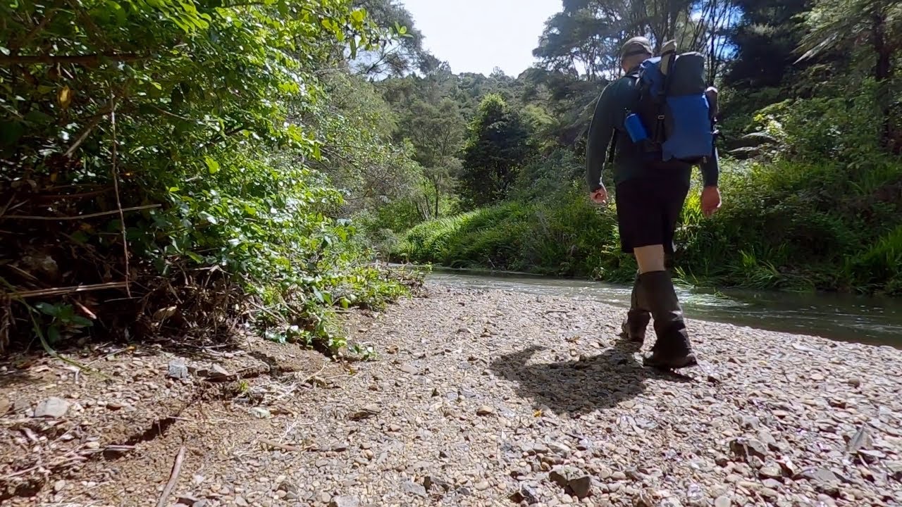 Solo Camp by the Mangatawhiri River, Hunua Ranges.