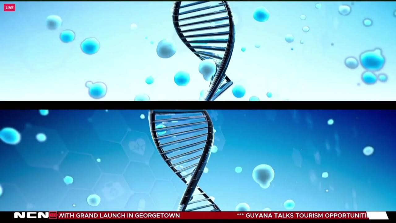 WATCH|| Launch of National Electronic Health Records System.