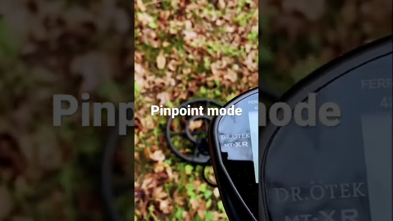 Looking For Finds I Found Me Ring Dr.otek Metal Detector