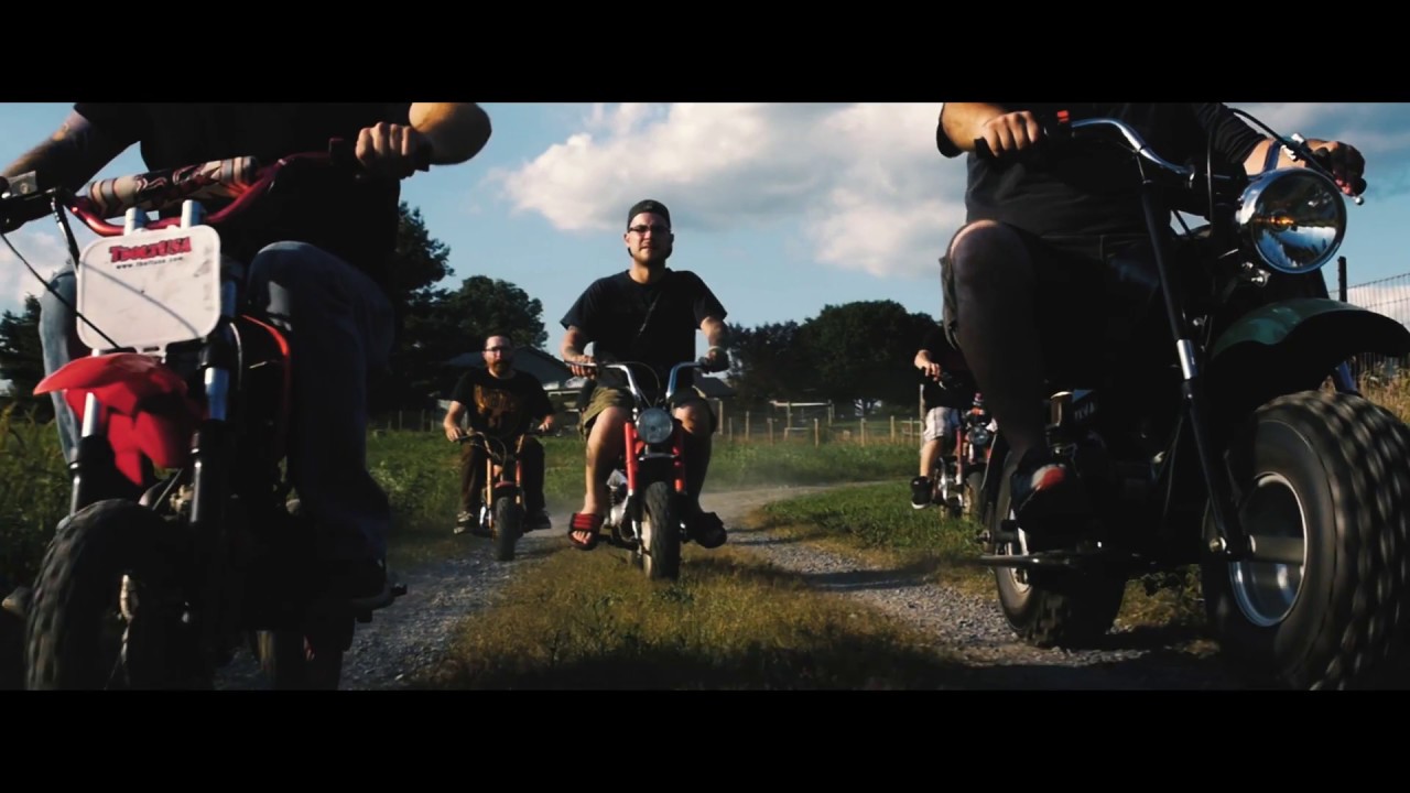 Don't Give a Damn A.P.F. Official Video