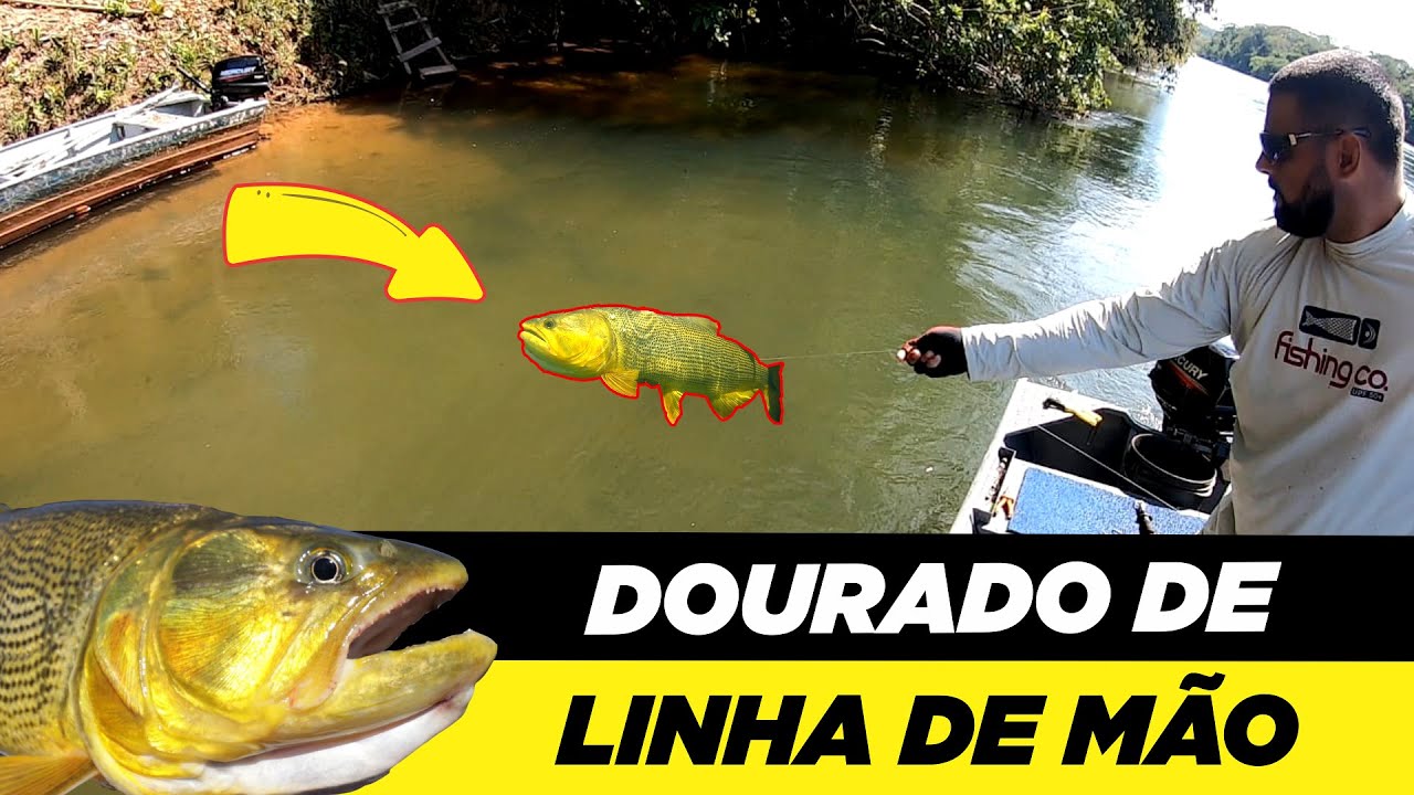 DOURADO NA LINHA DE MÃO, QUEIMA A MÃO PAPAI !!! Rio Manso , MT.