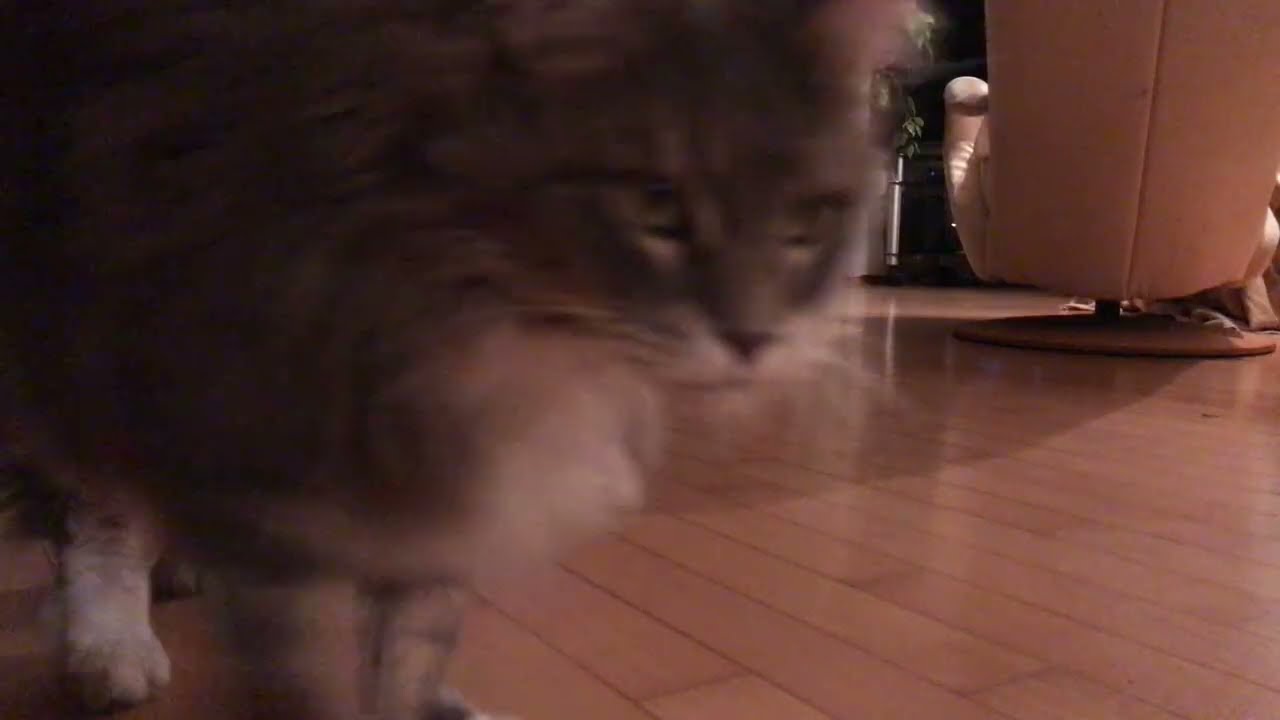 Позирует красотка   1 березня 2026 р.