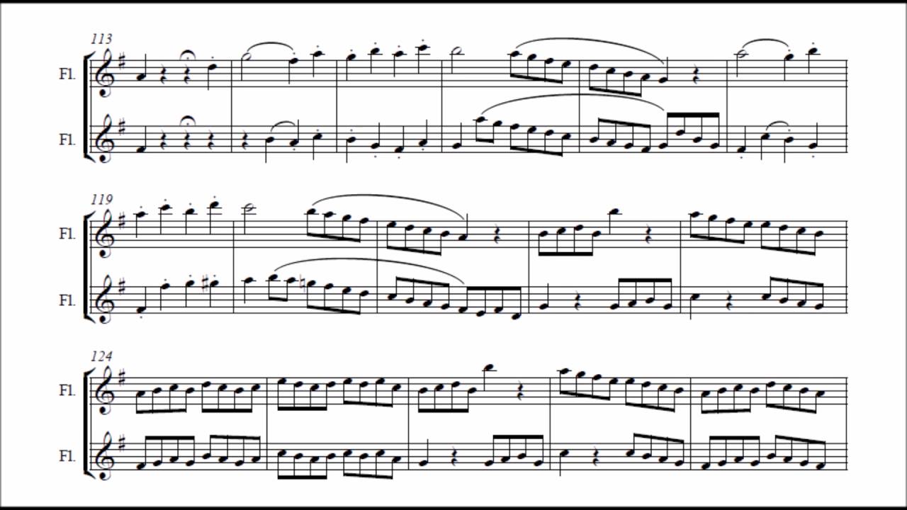 Ludwig van Beethoven - Duo for two flutes WoO 26 (VIDEO REQUEST)