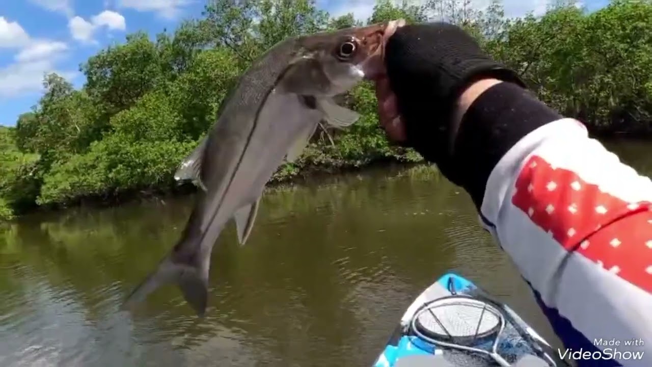 Pescaria entre laje e riu  Paranaguá 
