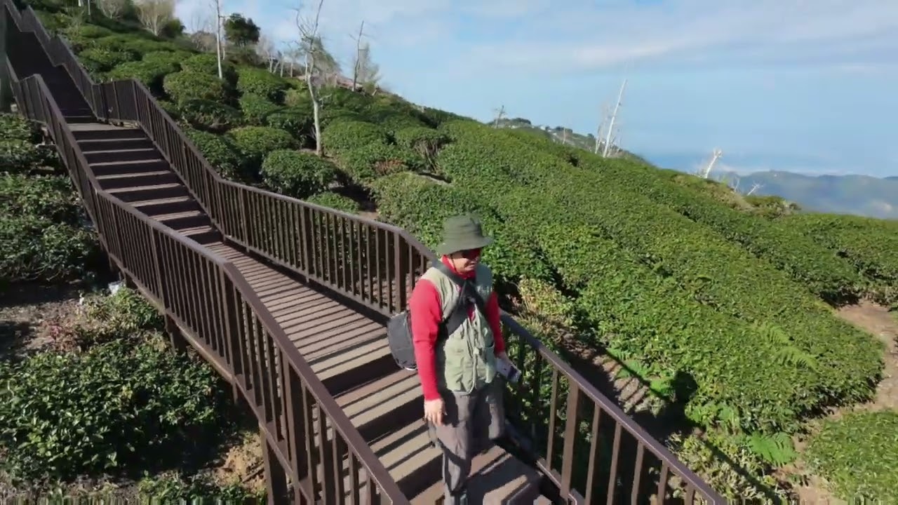 大崙山+八卦茶園景觀步道