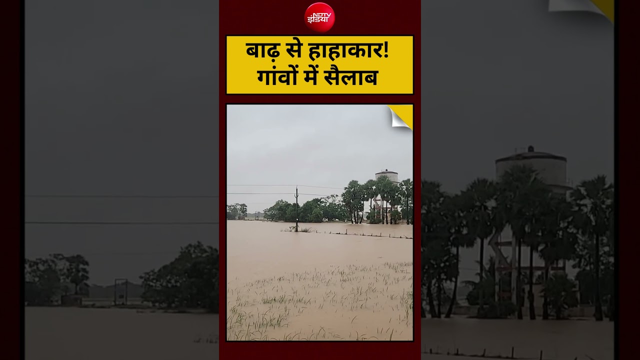 Flood wreaks havoc! Villages inundated | #OdishaFlood #BhadrakFlood #FloodSituation