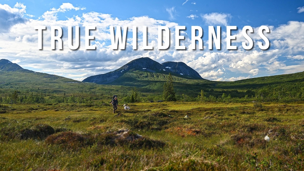3 Weeks Alone Off-Trail in the Norwegian Wilderness (With My Dog)