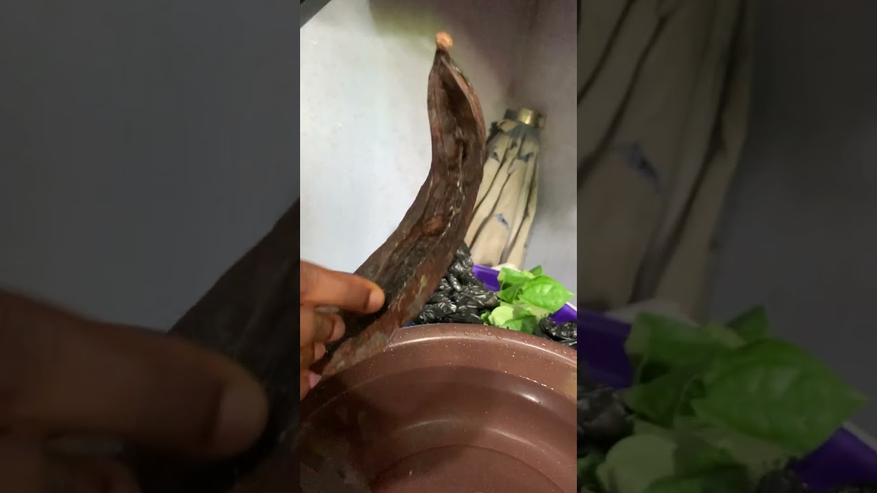 Preparing for our get together