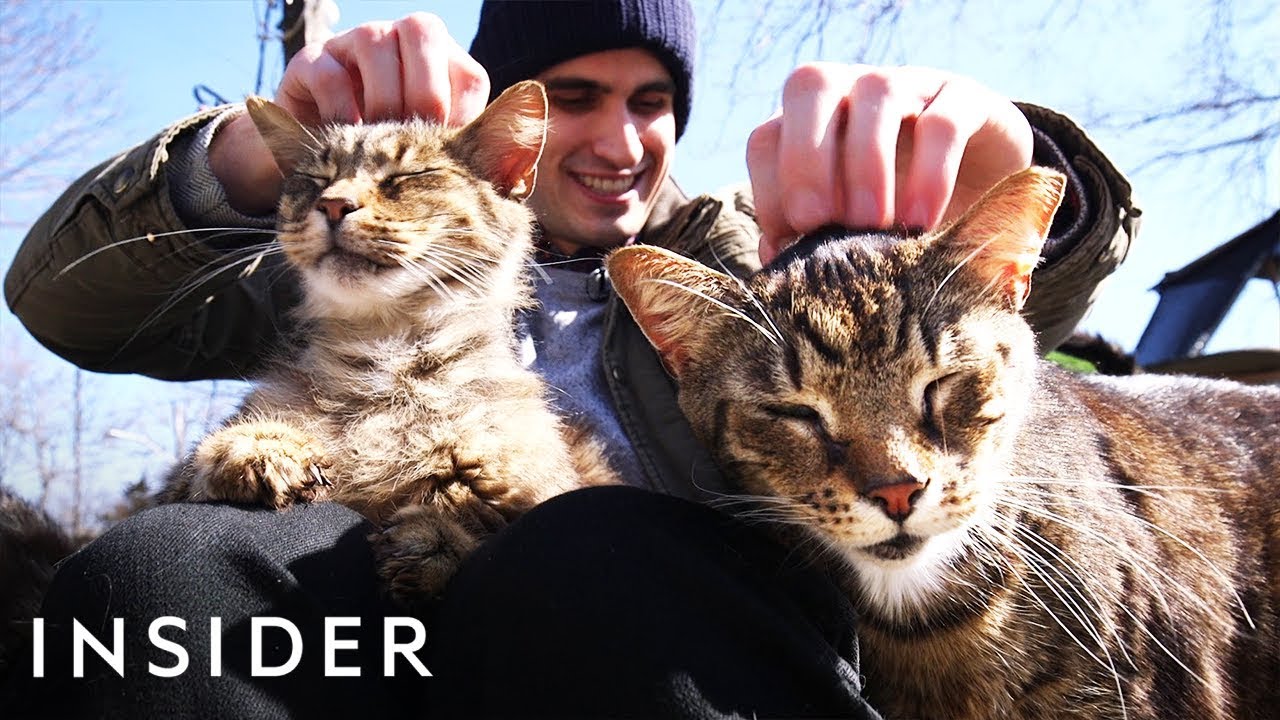 Meet The Man Who’s Turned His Home Into A Sanctuary For Over 300 Cats